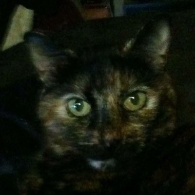 LindaTheresaPr2's profile picture. 