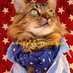 The Spirit of Lorenzo the Cat (@lorenzothecat) Twitter profile photo The Spirit of Lorenzo the Cat (@lorenzothecat) Twitter profile photo
