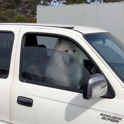 actgg's profile picture. 