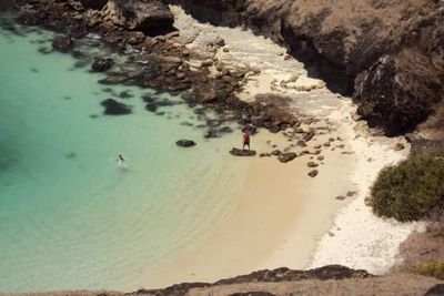 Munawir17560661's profile picture. 