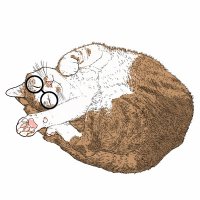 ~~~Percy (@gachoccc) 's Twitter Profile