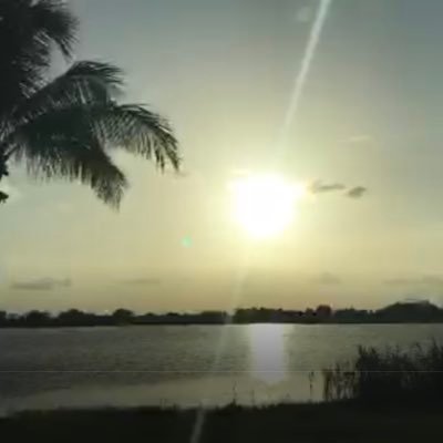 I broadcast the most fun you can have in a Florida Sunset 🌅 Check out my website for upcoming broadcasts on Periscope and LiveMe