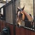 Fabulous Fillies (@scfsammy) Twitter profile photo Fabulous Fillies (@scfsammy) Twitter profile photo