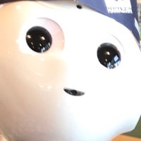 keramice (@keramice1) 's Twitter Profile