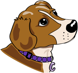 codyscreations's profile picture. Cody's Creations - Handmade custom collars, leashes, harnesses, treat pockets, leash bags and more!