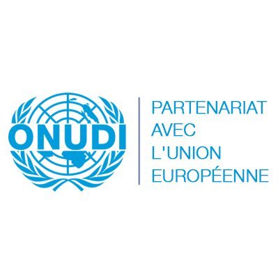 @ONUDI_Bruxelles