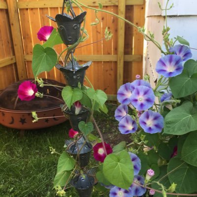 mrnnskalsky's profile picture. 