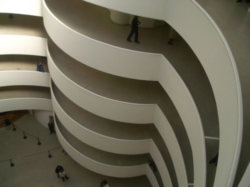 Viva_inu_mushi's profile picture. 