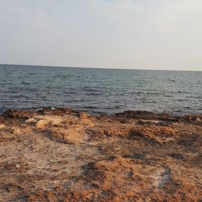 HellingsJoran's profile picture. 