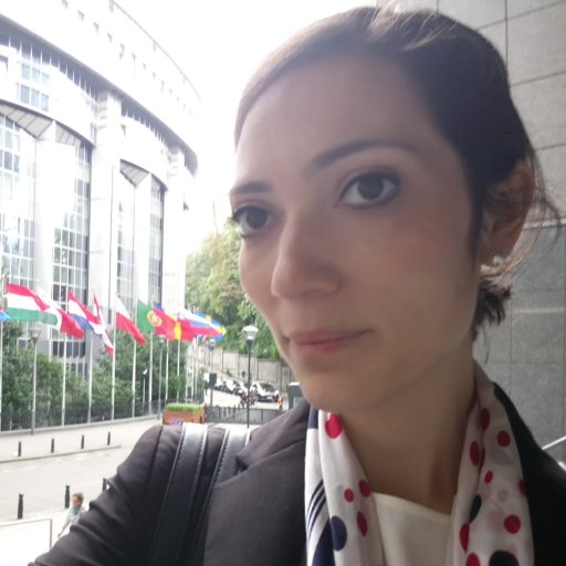 Junior Researcher at the EOS Excellence - FNRS Project Reforming Representative Democracy / PhD Candidate at ULB