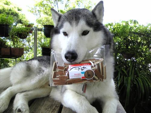 303kami's profile picture. 