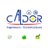 caldor_cm