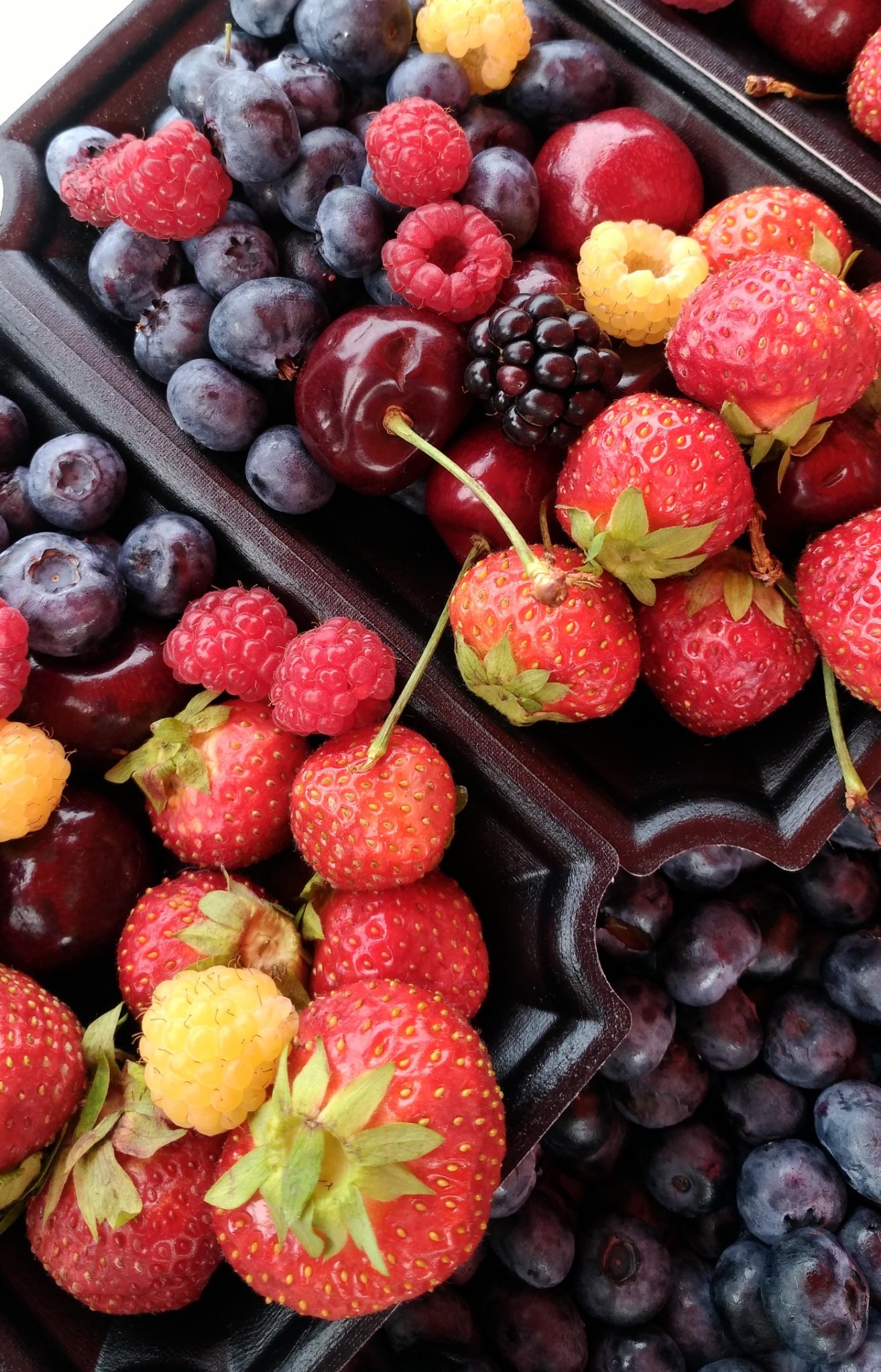 schokolade2024's profile picture. 児童福祉、生命倫理などを研究しています。「こうのとりのゆりかご」、内密出産、第三者の関わる生殖補助医療、出自を知る権利など。 上智大学生命倫理研究所