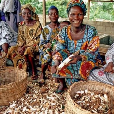 ONGFEDY's profile picture. FEDY (Femmes Entreprenantes et Dynamiques)