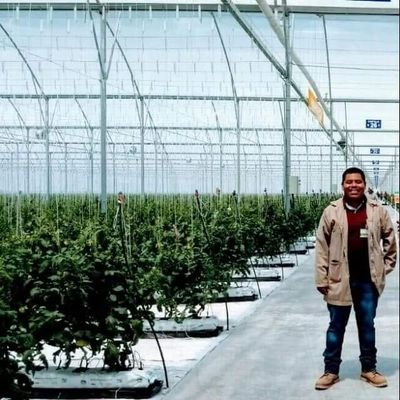 Ingeniero Agronomo Especialista en Fitotecnia/ Plant Science/De la Nación Ñu Savi/ De Oaxaca del norte.