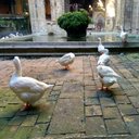 Raúl Millán Díaz - @rmd1006 - Twitter