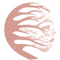 salvatusarbolessevilla (@salvatusarboles) 's Twitter Profile