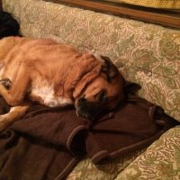 Robert West (@robertw73173794) 's Twitter Profile