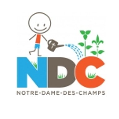 L’École élémentaire catholique Notre-Dame-des-Champs offre une éducation catholique de langue française de haute qualité. À NDC, on récolte ce que l’on sème!