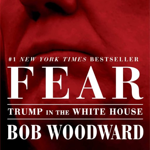 Selling Fear: Trump in the White House for only $10. Get it now!