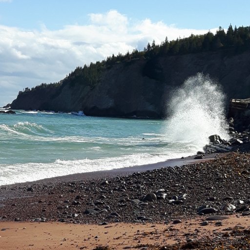 4_loveoffamily's profile picture. Happily married Mother of three boys, love camping, running, soccer, baking, gardening and spending time with family. occasional blogger. backyard ultras.