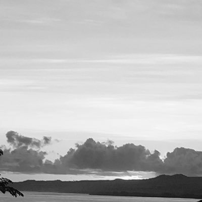 ceepageturn's profile picture. 🔺