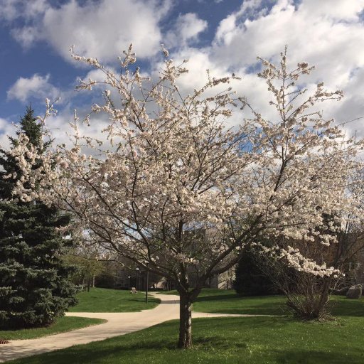 CERES @IUSouthBend facilitates research & scholarship in all areas of expertise & connects experts across the university & our communities. https://t.co/yqZm9n3Wl5