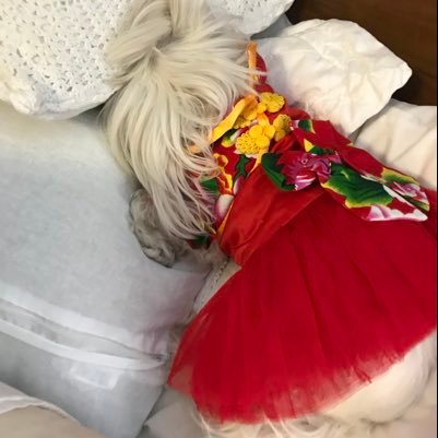 carmen51994472's profile picture. Historia Historia Noticias Generales El tiempo Salud