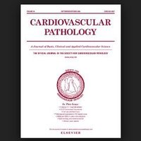 Cardiovascular Pathology(@CVpathol) 's Twitter Profile Photo