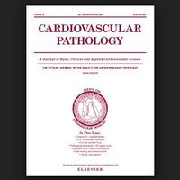 Cardiovascular Pathology (@cvpathol) 's Twitter Profile