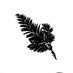 Senses Wines (@senseswines) Twitter profile photo Senses Wines (@senseswines) Twitter profile photo