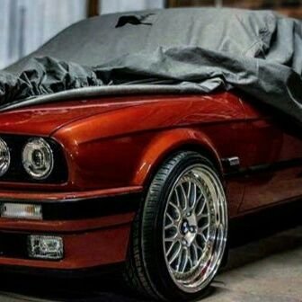 Ninobra94514482's profile picture. 