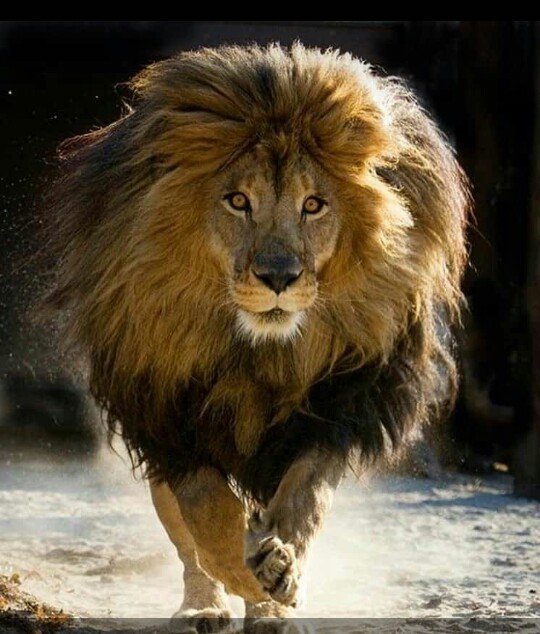 It's better to fail in a cause that will ultimately succeed than to succeed in a cause that will ultimately fail!
