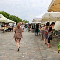 Cressida Eldridge (@cressidaeldrid1) 's Twitter Profile