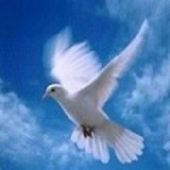 AmorOmniaVincitさんのプロフィール画像