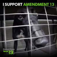 Protect Dogs - Yes on 13(@VoteYesOn13) 's Twitter Profile Photo