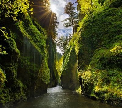 HaouatiaS's profile picture. Dissoubanda