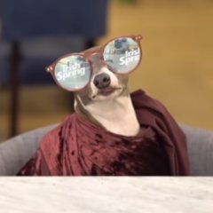 groceryfiend's profile picture. So much all the time
https://t.co/5WSqLJc1od