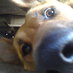 branislav mikic (@branislavmikic) Twitter profile photo branislav mikic (@branislavmikic) Twitter profile photo