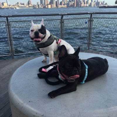 mattyo25's profile picture. 