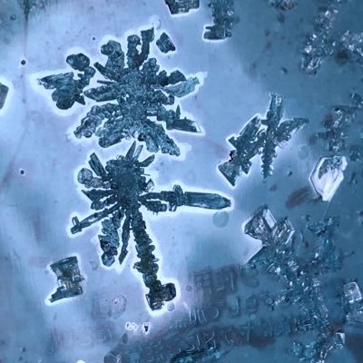 gojapi18's profile picture. 今更ですが… Twitter勉強始めました パイレーツ83鯖でみーちしてます∠( ˙-˙ )／