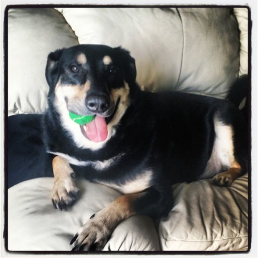 bipanthegreat's profile picture. 🟧