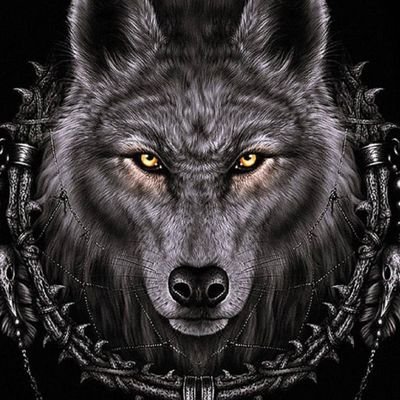 LoboTejano4's profile picture. 