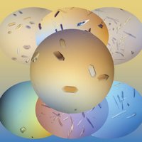 HaitinLab (@haitinlab) 's Twitter Profile Photo HaitinLab (@haitinlab) 's Twitter Profile Photo
