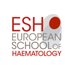 ESH (Haematology) (@ESHaematology) Twitter profile photo