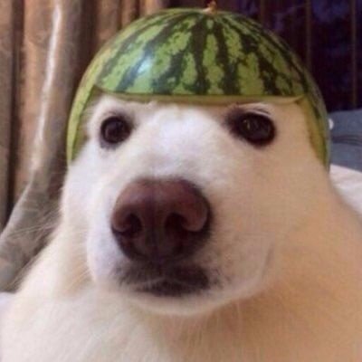 Sceme_'s profile picture. hola qué tal