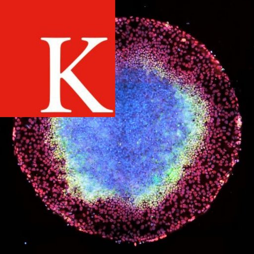 KCL Centre for Gene Therapy & Regenerative Medicine. Follow us to find out about our latest research, events, and seminars we're hosting.