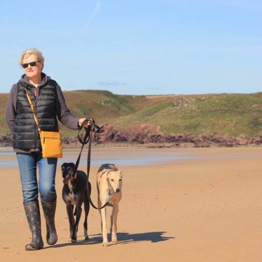 We are two ex-racing #greyhounds happily retired with mum @ChrissieMac in Pembrokeshire. Ruby is the pretty black girl and Finn is the handsome blond boy.