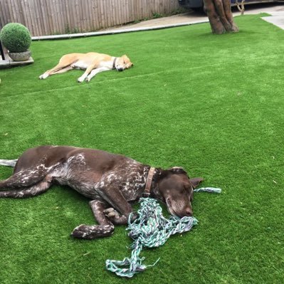 connor_senior's profile picture. 