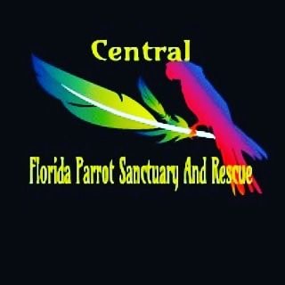 We are a Florida parrot rescue,We care for our Parrot's, Non profit please help with these loving animals Central Florida Parrot Sanctuary and Parrot Rescue